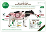 Pro Earth Feed (Powder)